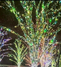 ���ε����β���