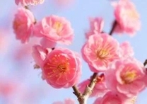 ���ε����β���