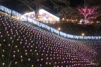 ���ε����β���