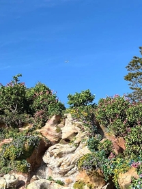 ���ε����β���