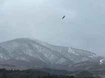 ���j���c