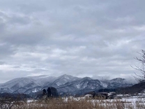 ���ε����β���