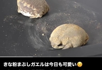 ����ɂ���