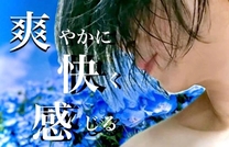 �u�₩�ȁy�o�����^�C...