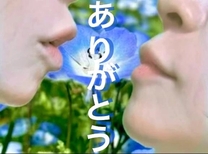 ���ε����β���