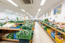 �u���O�摜