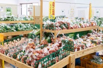 �u���O�摜