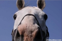 ����ɂ���(^^)