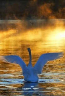 ���ε����β���