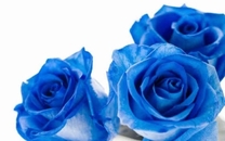 ���ε����β���