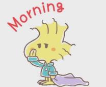 Good morning