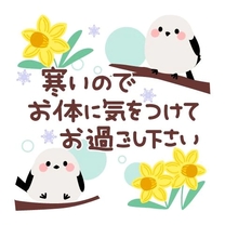 �u���O�摜