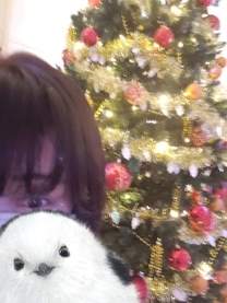 ���ε����β���