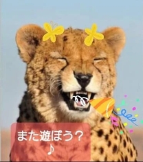 ���ε����β���