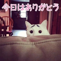 ���肪�Ƃ��������܂���