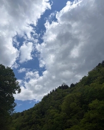 �u���O�摜