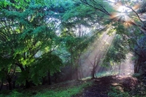 ���ε����β���