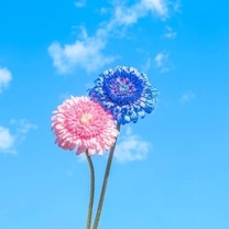 ���肪��...