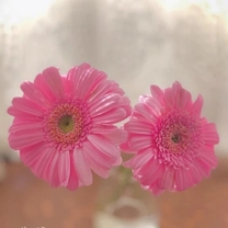 ���ε����β���