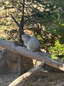 ���ε����β���