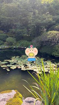 �u���O�摜