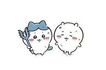 GEM̂Z...