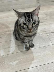 ͂悤...
