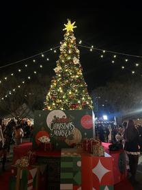 ���ε����β���