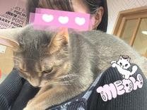 ���ε����β���