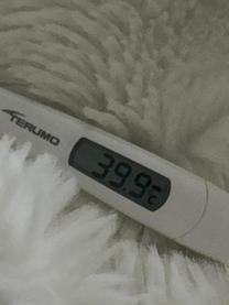 39.9�̂��l��