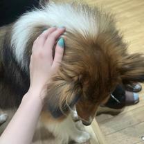 ���ε����β���