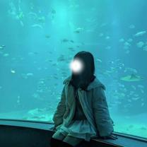 ���ε����β���