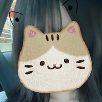 ���ε����β���