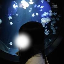 ���ε����β���