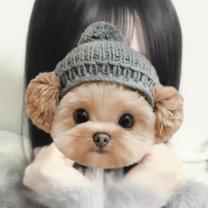 ���ε����β���