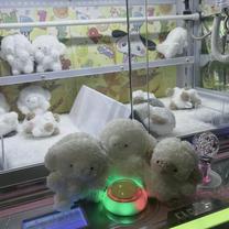 �u���O�摜