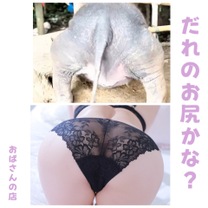 �u���O�摜