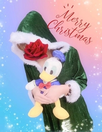 ���ε����β���