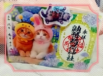 �u���O�摜