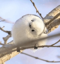 ����ɂ��́�