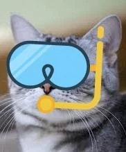 �L������...