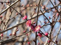 �X�|�[�c�̏t