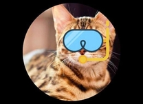 ����ɂ��́�