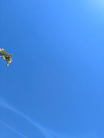 ΂