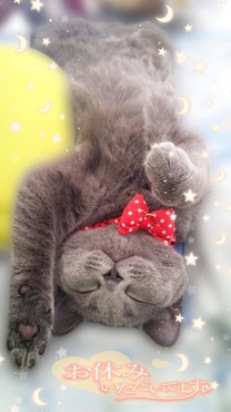 ���͂�&��...