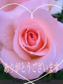 �u���O�摜