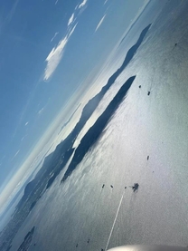 �u���O�摜