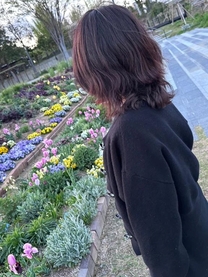 �u���O�摜