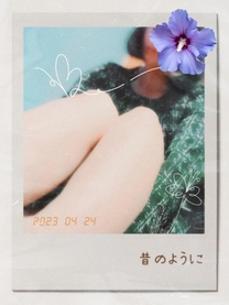 �u���O�摜