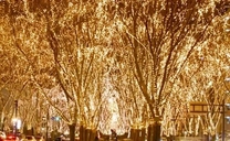 �����͉J...